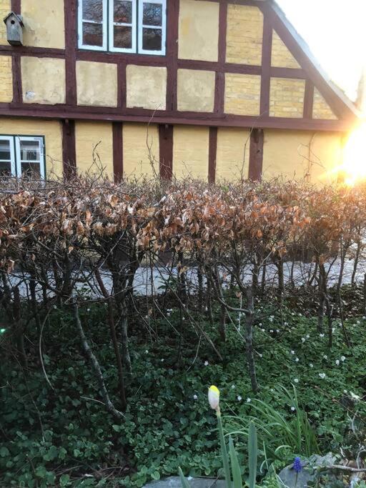 Idyllisk, Historisk Byhus Ved Fjorden I Mariager Extérieur photo